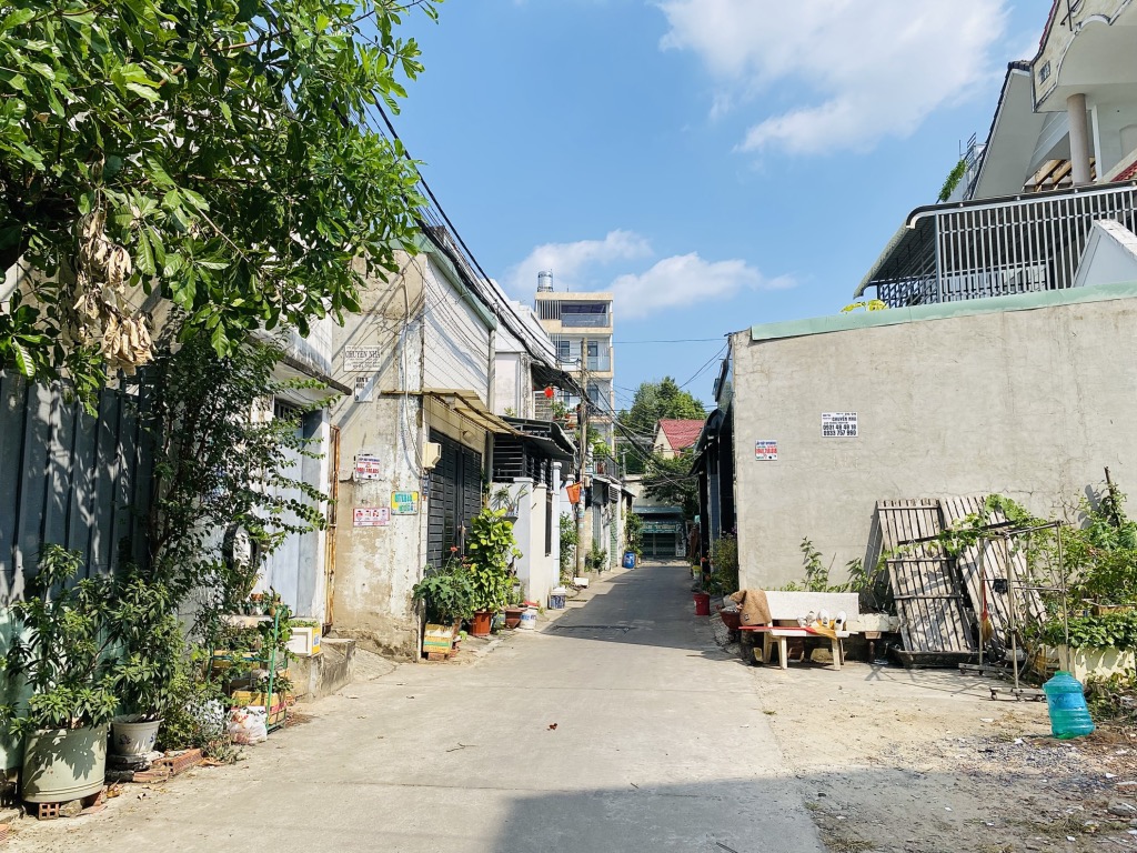 NHỎ TIÊN TƯƠNG LAI GIÁ TRỊ CAO -LINH TÂY THỦ .CHỈ 2.6 TỶ ĐỨC CHỈ 2