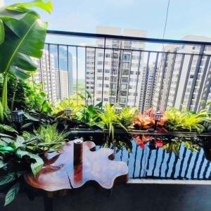 Bán căn hộ Vinhomes Ocean Park 1, Bán căn hộ tặng nội thất, diện tích 64m2