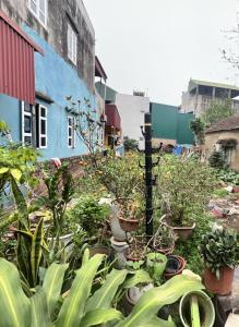 Bán đất Gia Lâm - Giá đầu tư - Oto vào đất