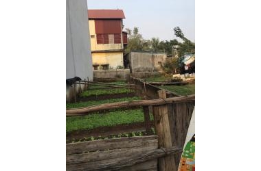 Bán Gấp Đất Vĩnh Hưng - Dành Cho Nhà Đầu Tư Xây Bán, Phân Lô, 100m 4.95 Tỷ - 0946.689.629