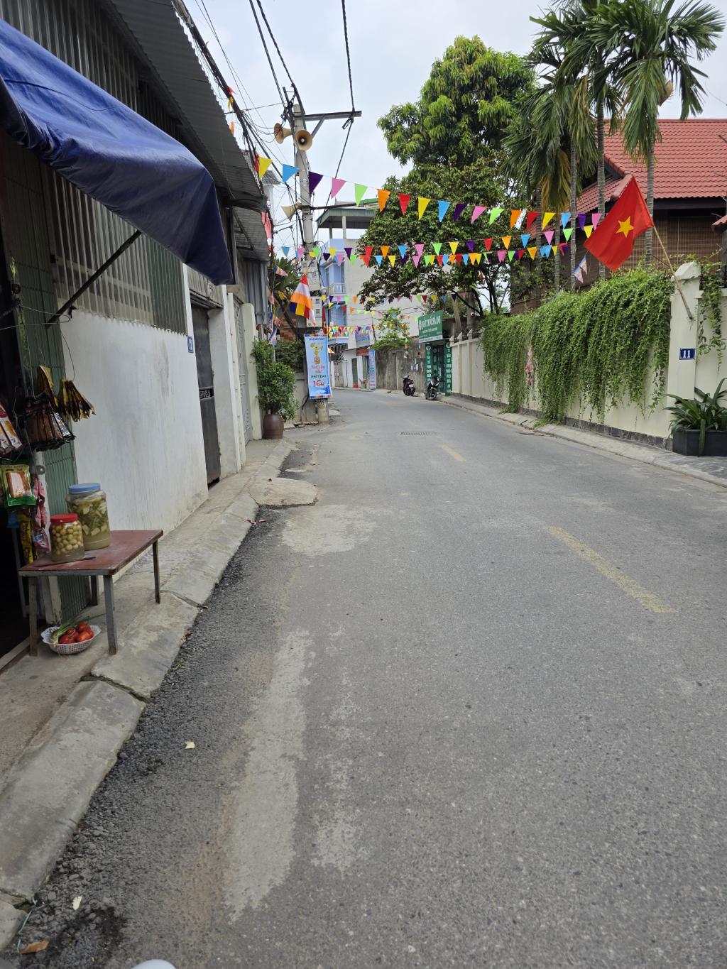 MẶT ĐƯỜNG THƯỢNG PHÚC - TẢ THANH OAI - KINH DOANH - OTO