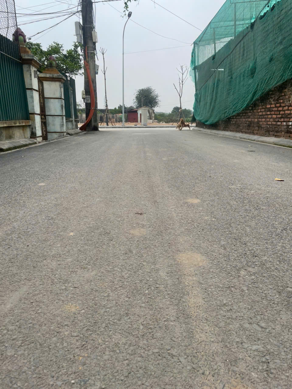 TRỤC CHÍNH 2 Ô TÔ TẢI TRÁNH NHAU TẠI THÔN ĐOÀI- NAM HỒNG(NGÕ 15 ĐẸP NHẤT THÔN)