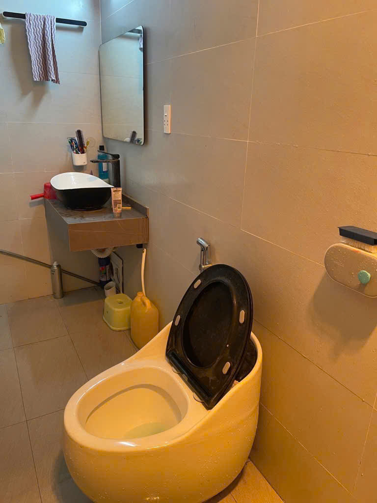 BÁN BIỆT THỰ TÂN TÂY ĐÔ TRẠM TRÔI HOÀI ĐƯC,PHÂN LÔ,Ô TÔ TRÁNH GIÁ 11 TỶ