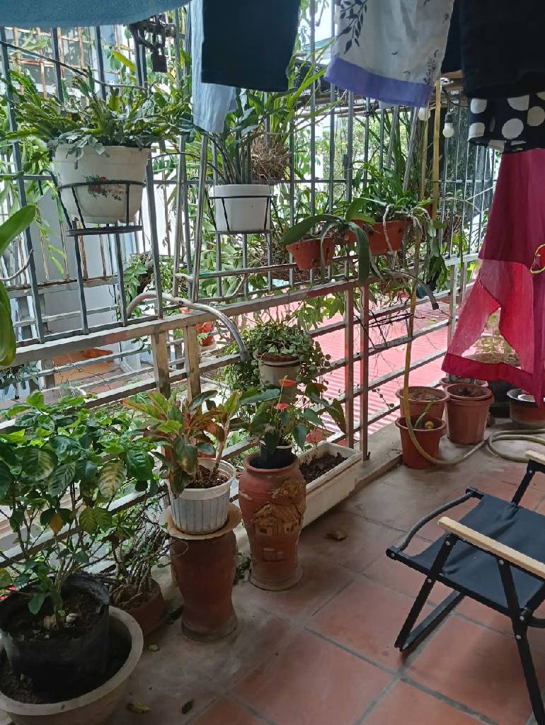 MẶT NGÕ 663 TRƯƠNG ĐỊNH - NGÕ Ô TÔ – KINH DOANH – DT 53M² – SỔ ĐỎ ĐẸP