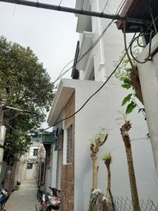 QUỲNH ĐÔ VĨNH QUỲNH 40M MT 5,8 M