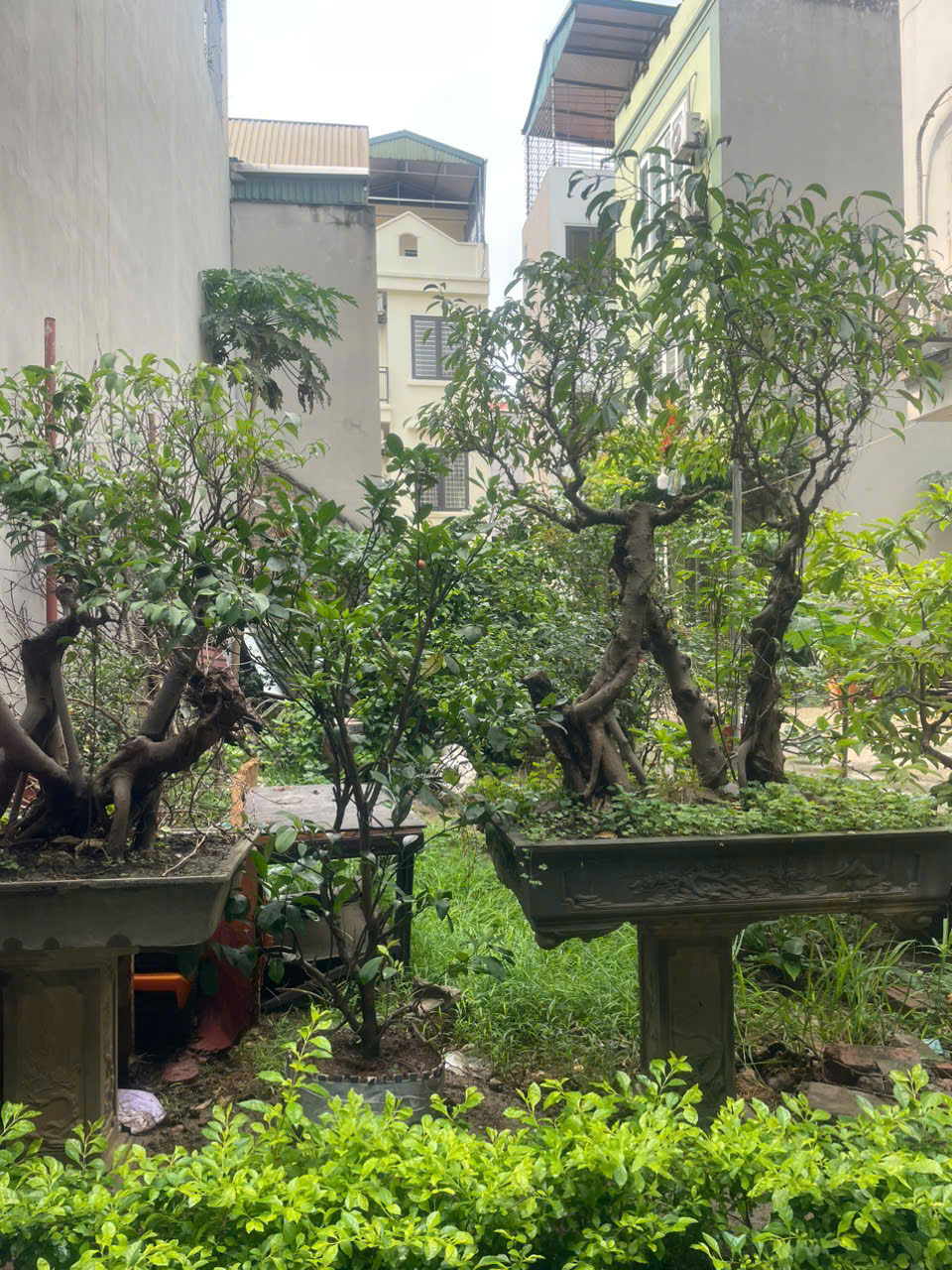 B..ÁN ĐẤT CỰC ĐẸP – KHU NGỌC THỤY, GIÁ CHỈ TỪ 5 TỶ!