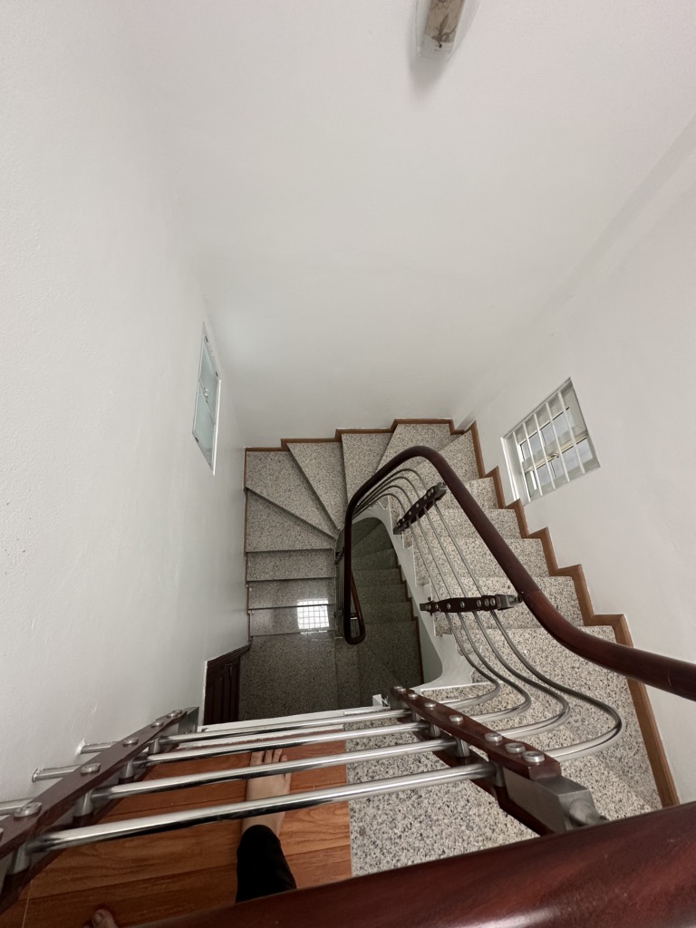 Thôn Thái Bình, Mai Lâm dông anh