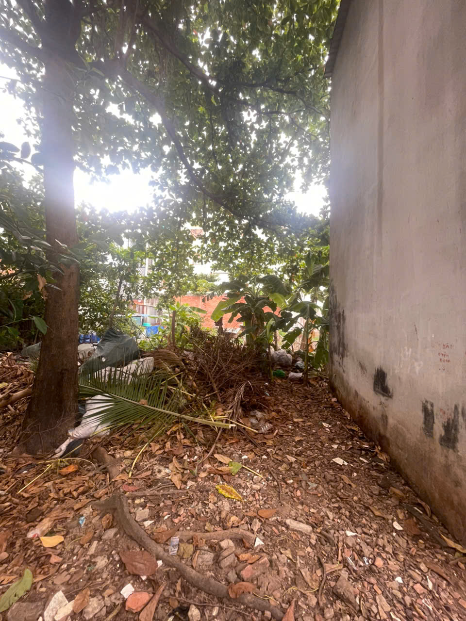 Bán gấp lô góc 4X12M Tân Hòa Đông P14Q6 giá 1,6 tỷ