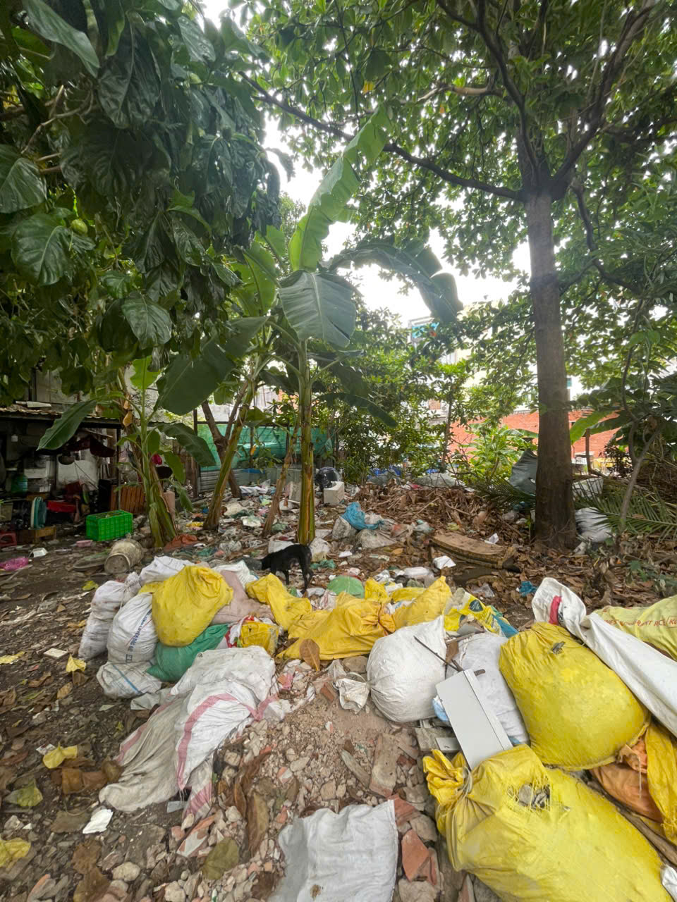 Bán gấp lô góc 4X12M Tân Hòa Đông P14Q6 giá 1,6 tỷ