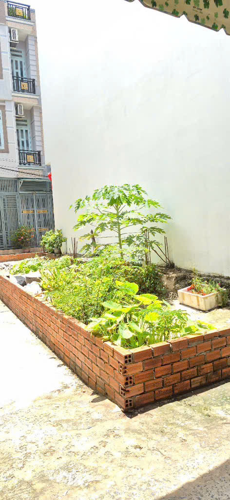 Bân gấp lô đất 3,8x13m Lưu hữu phước Quận 8 giá 3,2 tỉ nhỉnh