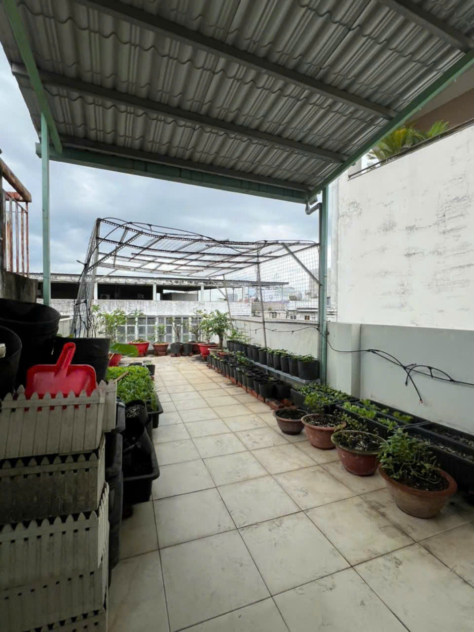 Bán gấp Mặt tiền cao xuân dục P12Q8 giá 11 tỉ