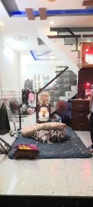 Nhà 2 tầng đúc kiên cố, 1 đời chủ chưa qua đầu tư, ngang 3,5 dài 10m , Lưu hữu phước Q8 giá 2,45 tỷ