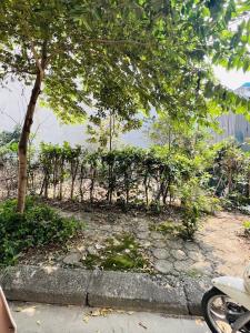 ĐẤT DỊCH VỤ KHU B- KHU ĐÔ THỊ ĐÔ NGHĨA- PHÂN LÔ- VỈA HÈ- KINH DOANH- GIÁ BÁN NHANH NHỈNH 10 TỶ