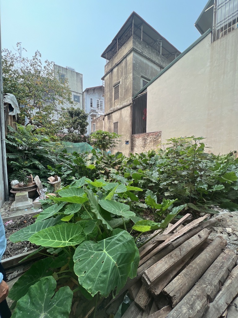 Bán đất nền siêu đẹp khu Dương Nội, 3 bước chân ra đường lớn. Thuở đất vuông thành sát cạnh. 65m2 5,5 tỉ