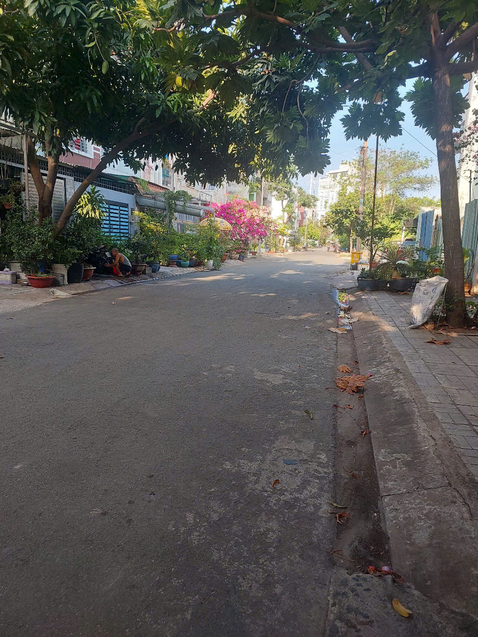 Nhà đẹp thiết kế hiện đại,nội thất cao cấp,Nguyễn Thị Định,cạnh phường Cát Lái,Thủ Đức. Gia nhỉnh