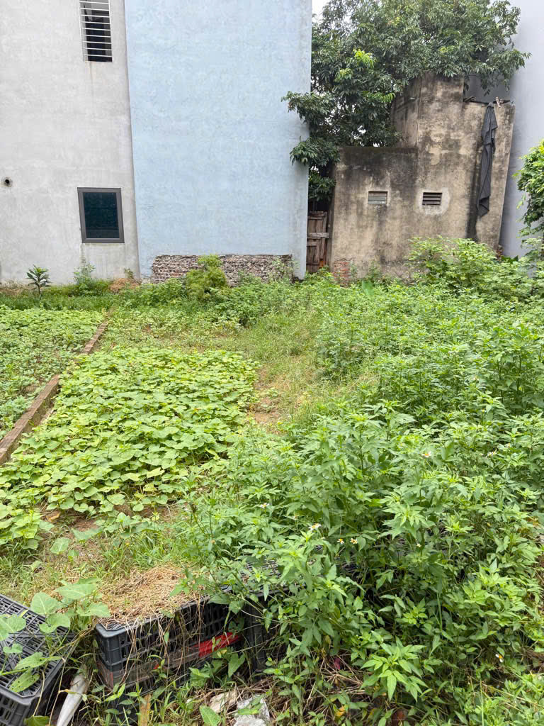 BÁN ĐẤT YÊN NGHĨA, NGÕ THÔNG , Ô TÔ QUA ĐẤT, DIỆN TÍCH 49M, MT 4M, GIÁ 3.4 TỶ.