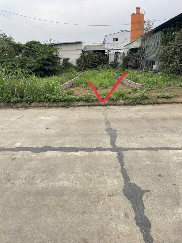 ĐẤT ĐẤU GIÁ MÀ GIÁ NHƯ ĐẤT TRONG LÀNG