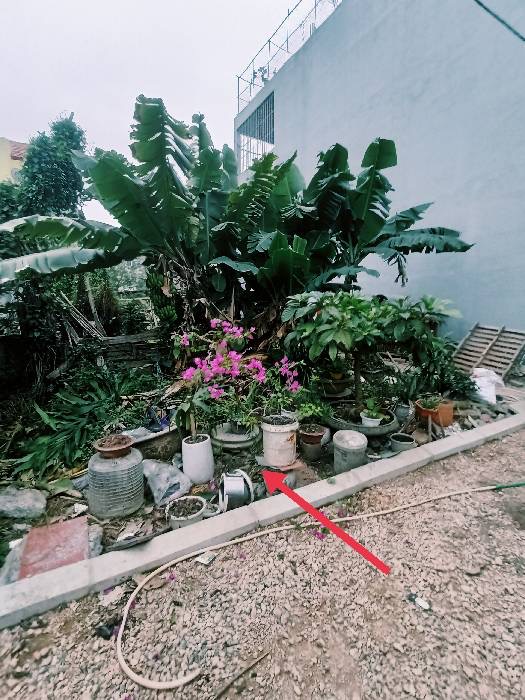 BÁN ĐẤT ĐA TỐN-GIA LÂM, OTO VÀO TẬN ĐẤT, GIÁ NHỈNH 4T