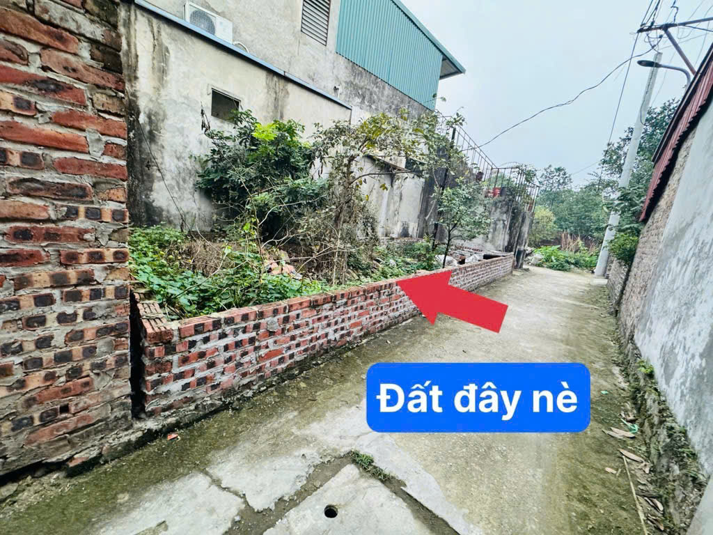 Đi tìm quán phở gà ngon ở hà nội CHUẨN VỊ - ĐỘC ĐÁO