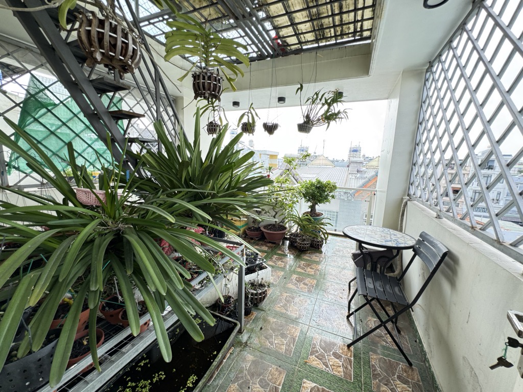 Đường Quang Trung, p8. HXH, 4x15m,