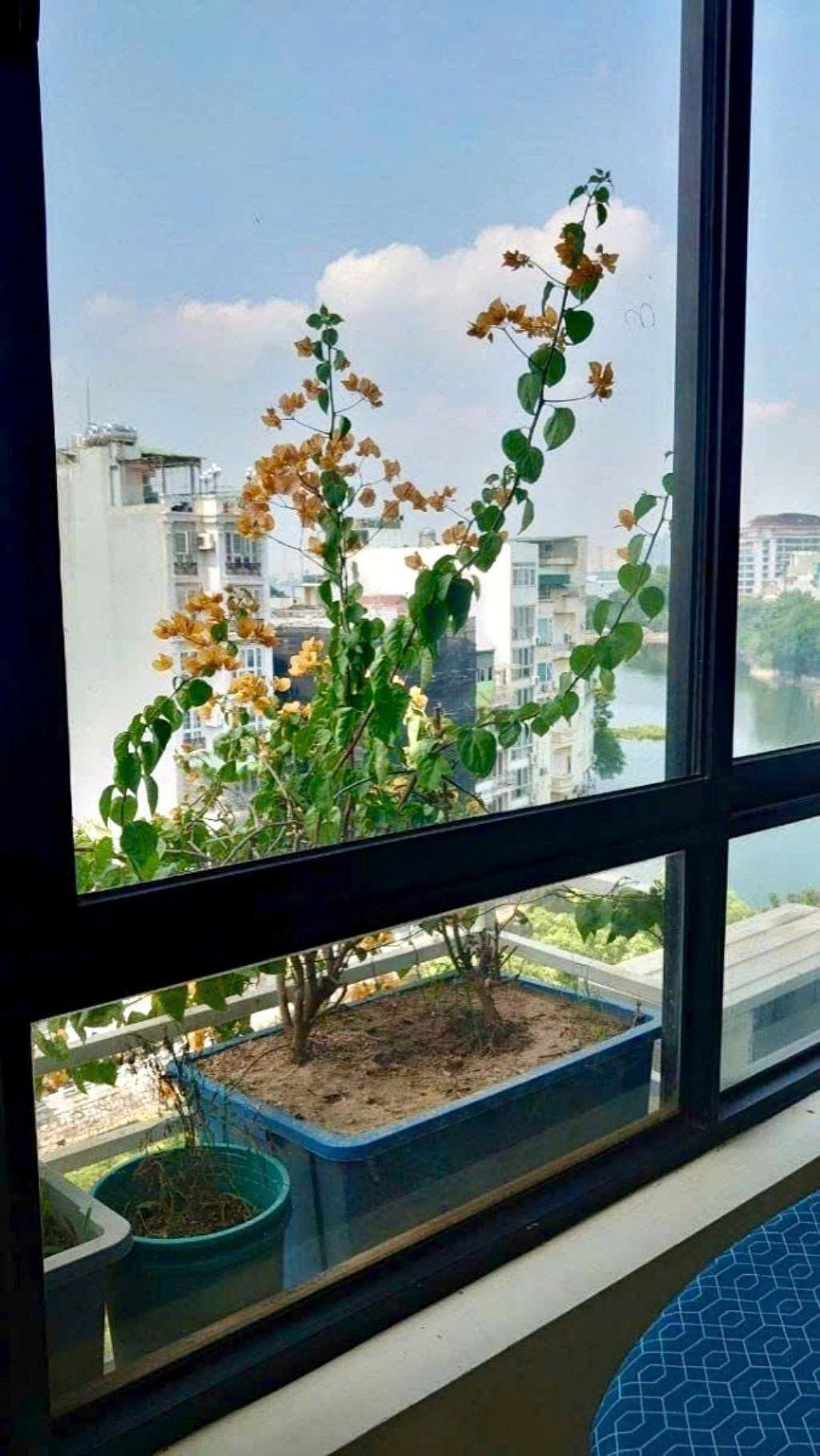 CĂN NHÀ MẶT PHỐ TRÚC BẠCH VIEW THOÁNG HỒ TRÚC BẠCH - HỒ TÂY