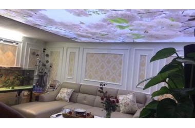 BÁN NHÀ RẤT ĐẸP - CẦU GIẤY, LÔ GÓC 5 TẦNG 45M2, 6 TỶ,0913781956