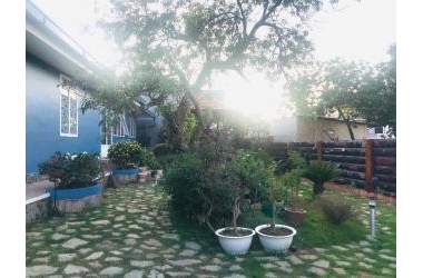 Bán nhà đất đường Phạm Hồng Thái, Phường 10, Đà Lạt