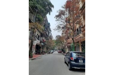 Bán đất Yên Lạc,  Phân lô, ô tô vào nhà, 44m2, 4,4 tỷ