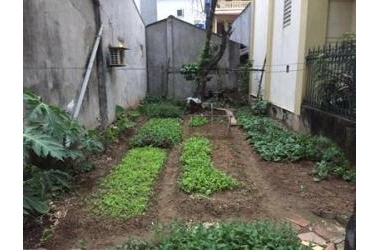 Bán đất phân lô , giãn dân , oto đỗ cửa phố Thụy Phương , Bắc Từ Liêm