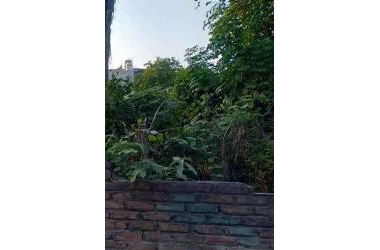 Bán Đất Phố Trạm Cổ Linh Cực Hiếm 129m2, mt 6.5m, giá 9 tỷ 2