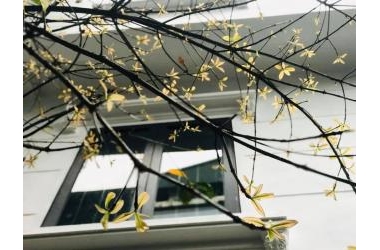 Bán nhà Mới phố Nguyễn Sơn 4Tầng 6mMặt Tiền DT38m2 chỉ 3,75 tỷ