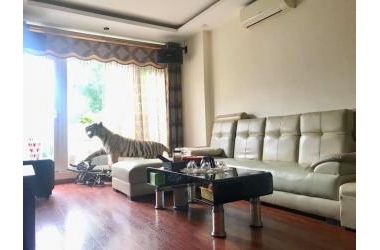 Nhỉnh 6 tỷ 40m2 6t vỉa hè 3m ô tô tránh LK Nguyễn Văn Lộc, Hà Đông.