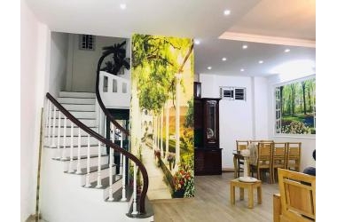 Nhà đẹp Tam Trinh, kinh doanh, ô tô đỗ cửa, ở ngay 50m, 4.5 tỷ.