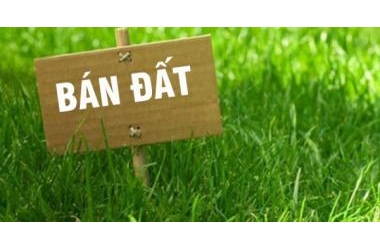 Cực hiếm. Bán đất phố Trương Định. ô tô - kinh doanh - mặt ngõ - cách phố 50m 58m 3.75 tỷ