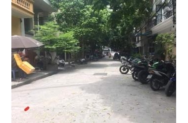 Bán Đất Phân Lô, Ô Tô Tránh, Kinh Doanh Phố Phạm Ngọc Thạch 50m2, MT 6m, Chỉ 6.7 Tỷ.