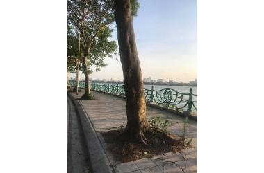 BÁN NHÀ LẠC LONG QUÂN, VIEW VƯỜN HOA, OTO, HỒ TÂY, KINH DOANH, 10 TỶ.