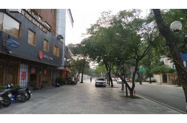 Chính chủ bán nhà phân lô Vạn Bảo, 53m2, 2 tầng, Mặt tiền 4.5m. Giá 9,7 tỷ