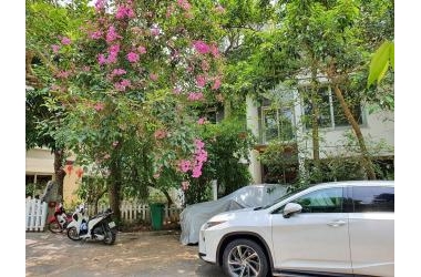 Biệt Thự Xanh Ngắt Ecopark 423m2, 3 tầng, mt 20m, chào 23 tỷ