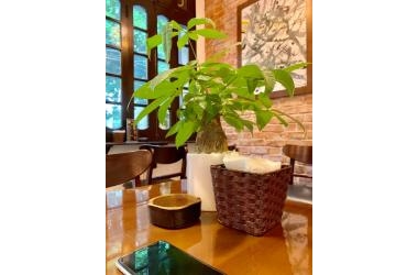 Bán Nhà Quan Nhân | Cực Đẹp, 43m2, 4 Tầng, Mt 4,9m, 3,85 Tỷ