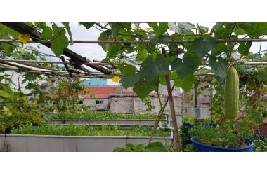 CẦN BÁN NHÀ Giải Phóng 35m2   5T  2.7 tỷ