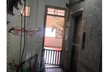 Sát phố Trần Quốc Hoàn KD cực đỉnh, 75m2 mặt tiền vô đối, 6T thang máy