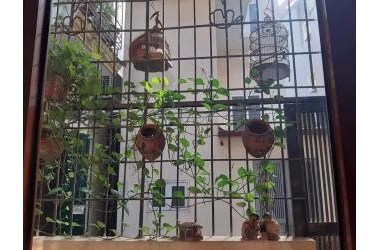 NHÀ ĐẸP NHƯ HOMESTAY - HÀNG XÓM TIMES CITY - 38M2 – 3 TẦNG