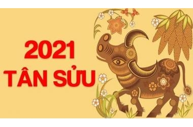 Nhà phố Kim Giang DT 30m 5 TẦNG 2.55 TỶ đón TẾT TÂN SỬU nhanh tay đặt gạch