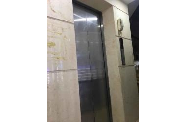 Mặt Phố Đống Đa Tôn Đức Thắng 75mx8T, mt 5.1m, giá 29 tỷ