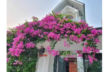 Bán biệt thự lô góc, trái tim của khu Tây Nam Linh Đàm, kinh doanh đỉnh cao.