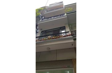Bán gấp nhà mặt Ngõ Phố Tân Mai ( Nguyễn Đức Cảnh ) 40m, 4 tâng, giá 2.x tỷ