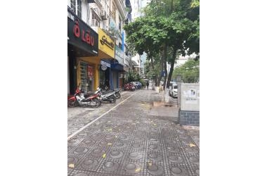 Phố VIP Hàn Quốc Nhật Bản Đào Tấn Mặt Tiền 6.6m, 160m2, 57 tỷ