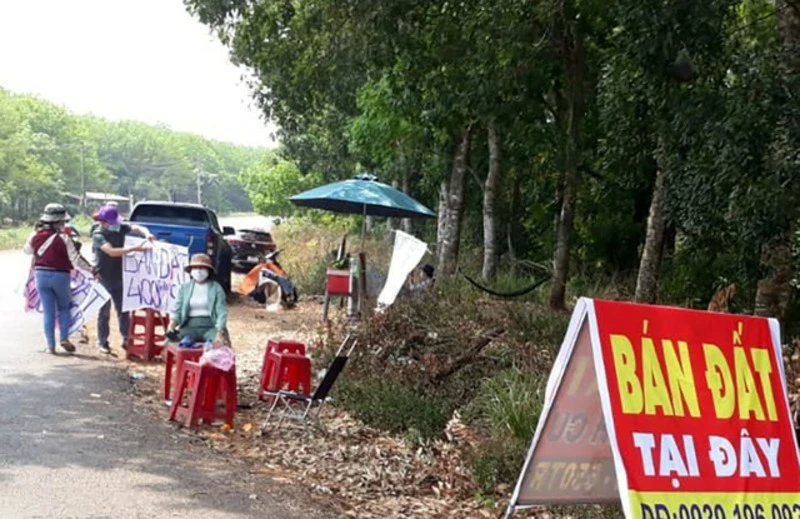 Chiêu trò thổi giá tạo sốt ảo BĐS và cách đọc vị thị trường thật